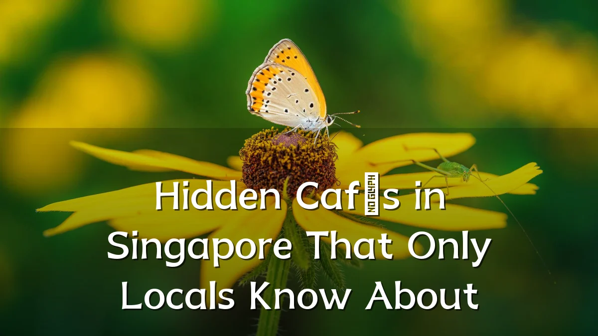 Hidden Cafés in Singapore That Only Locals Know About