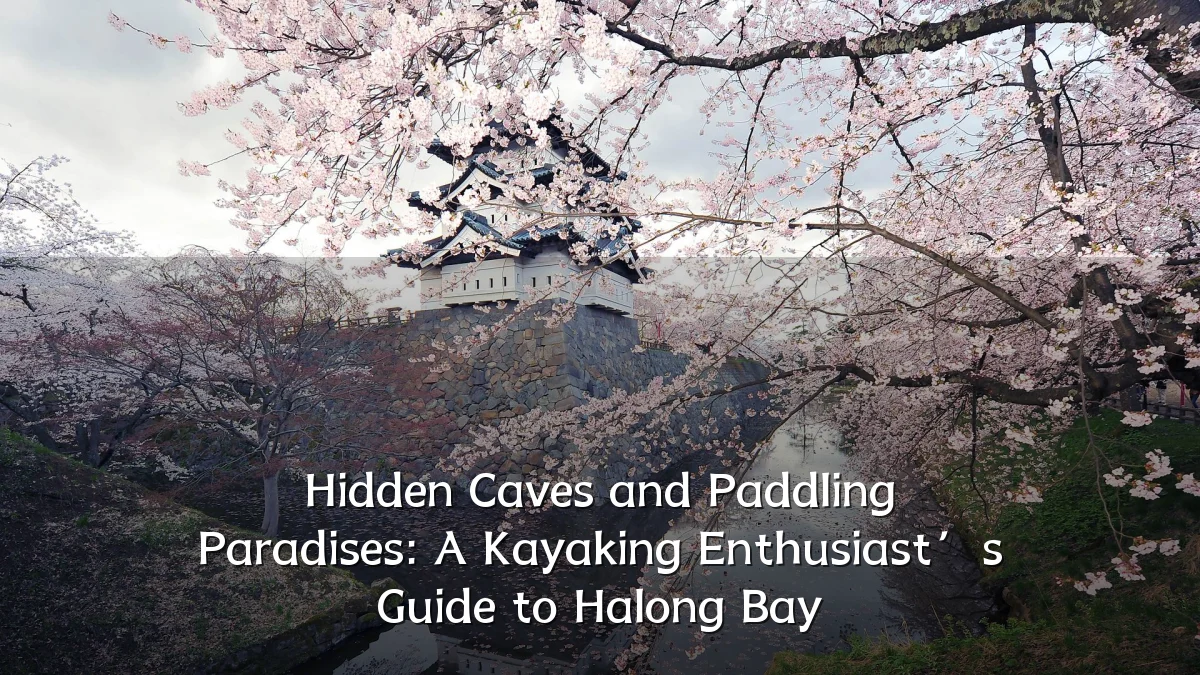 Hidden Caves and Paddling Paradises: A Kayaking Enthusiast’s Guide to Halong Bay