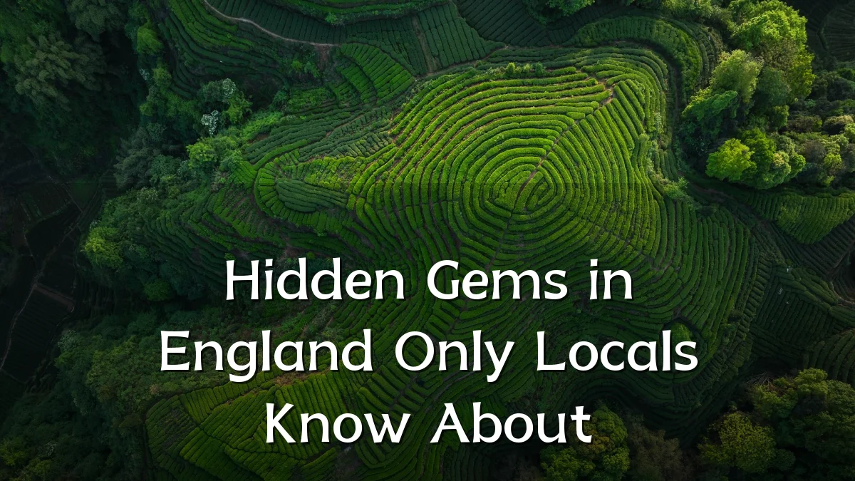 Hidden Gems in England Only Locals Know About
