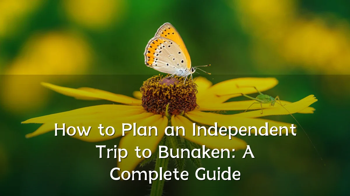 How to Plan an Independent Trip to Bunaken: A Complete Guide