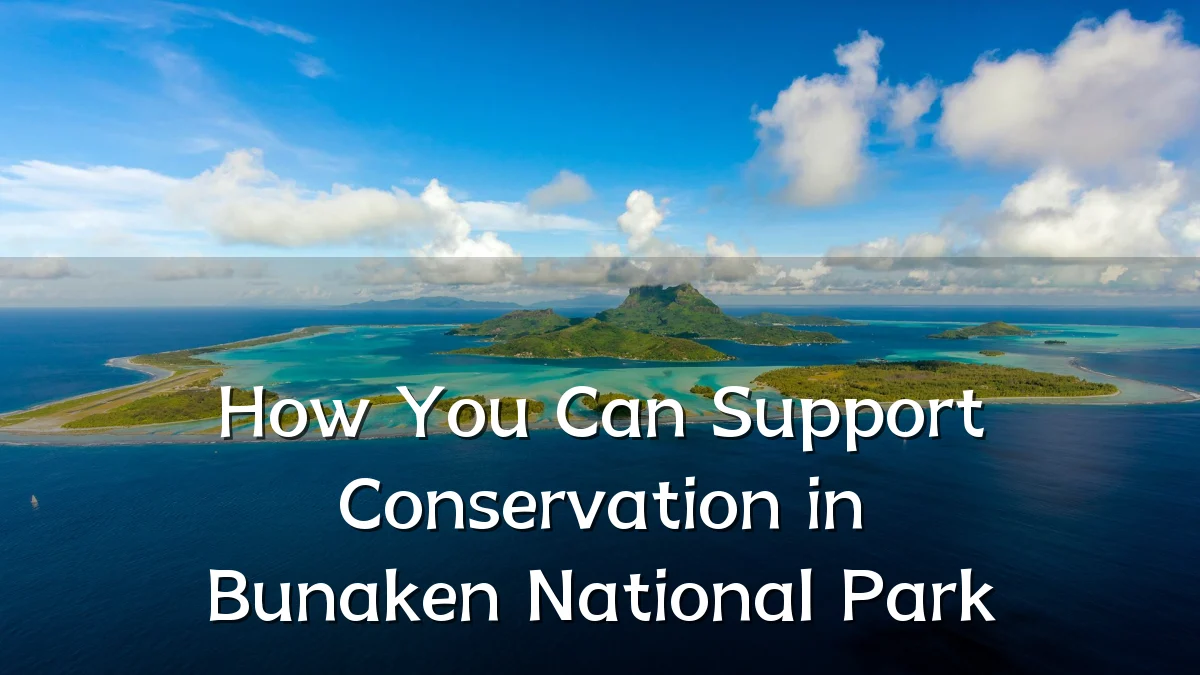How You Can Support Conservation in Bunaken National Park