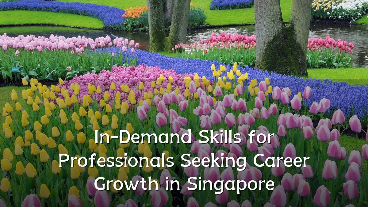 In-Demand Skills for Professionals Seeking Career Growth in Singapore
