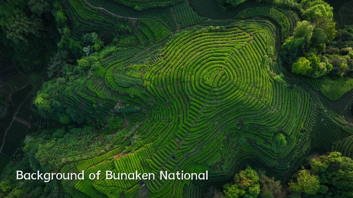 Background of Bunaken National