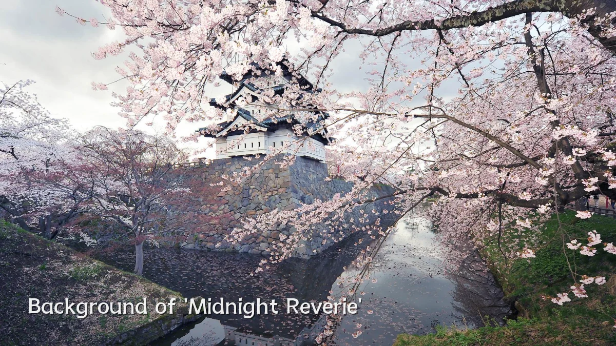 Background of 'Midnight Reverie'