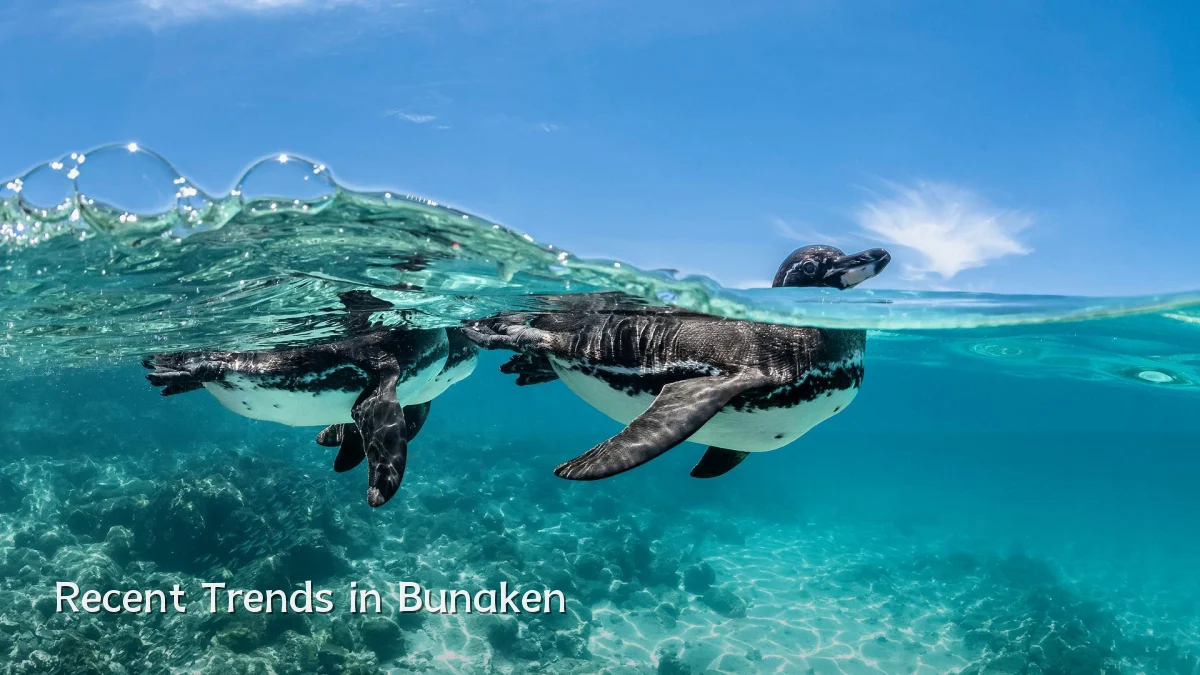 Recent Trends in Bunaken
