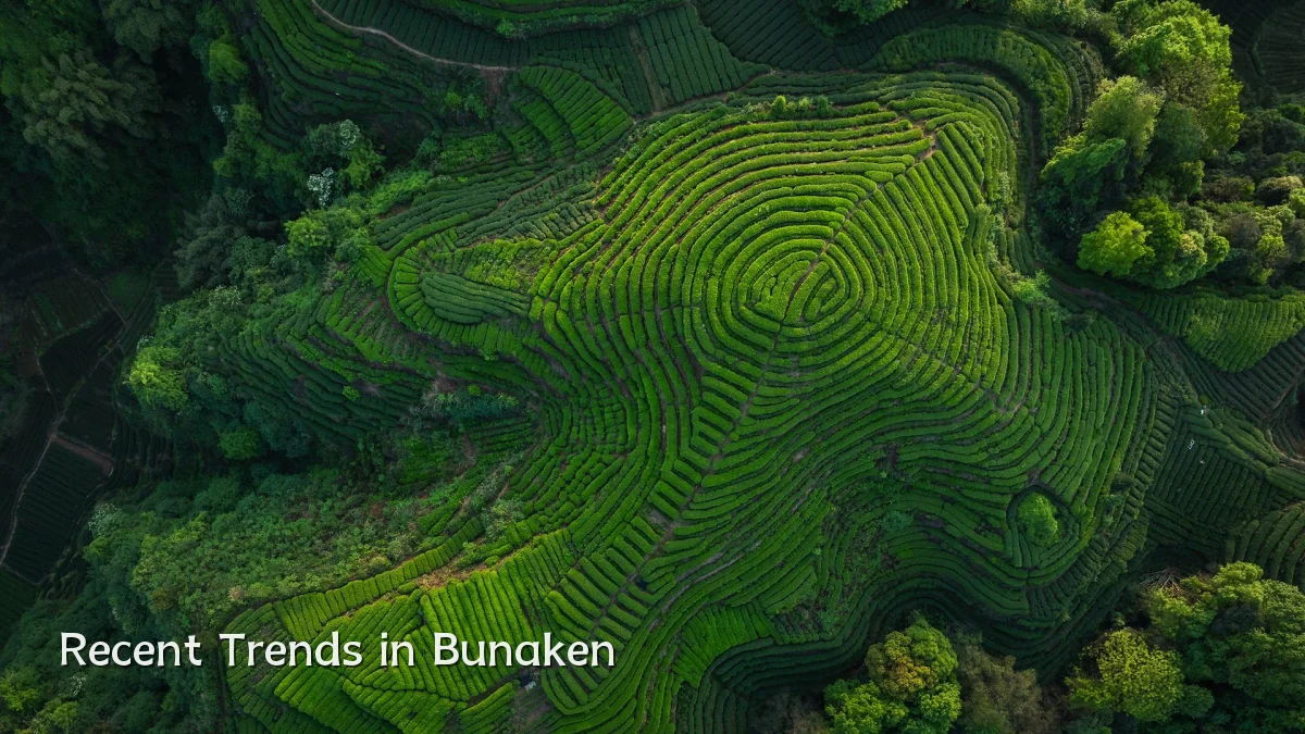 Recent Trends in Bunaken