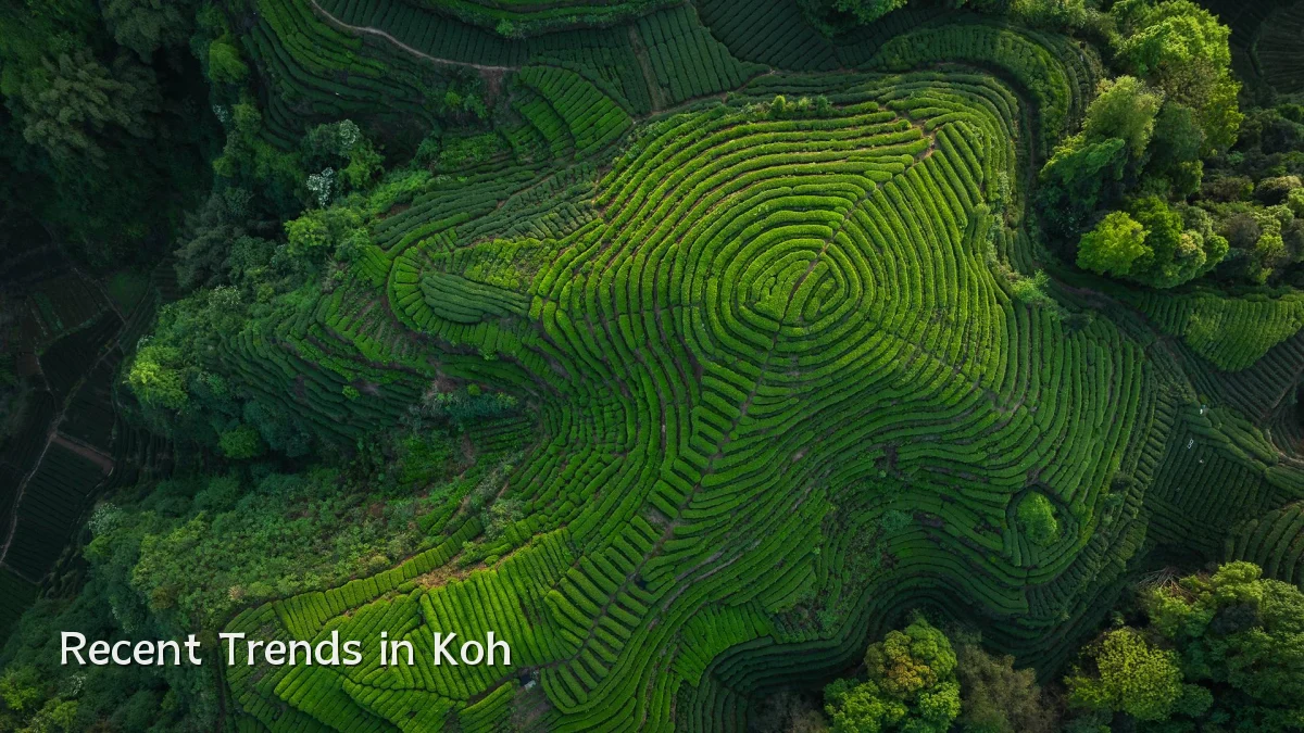 Recent Trends in Koh