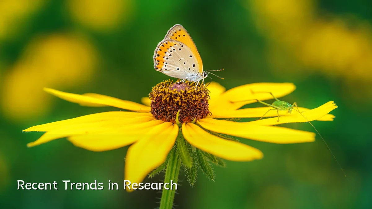 Recent Trends in Research