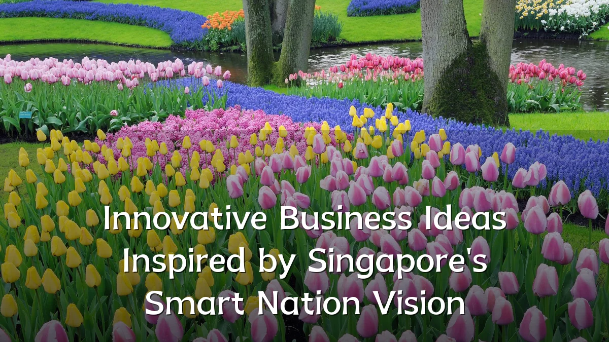 Innovative Business Ideas Inspired by Singapore's Smart Nation Vision