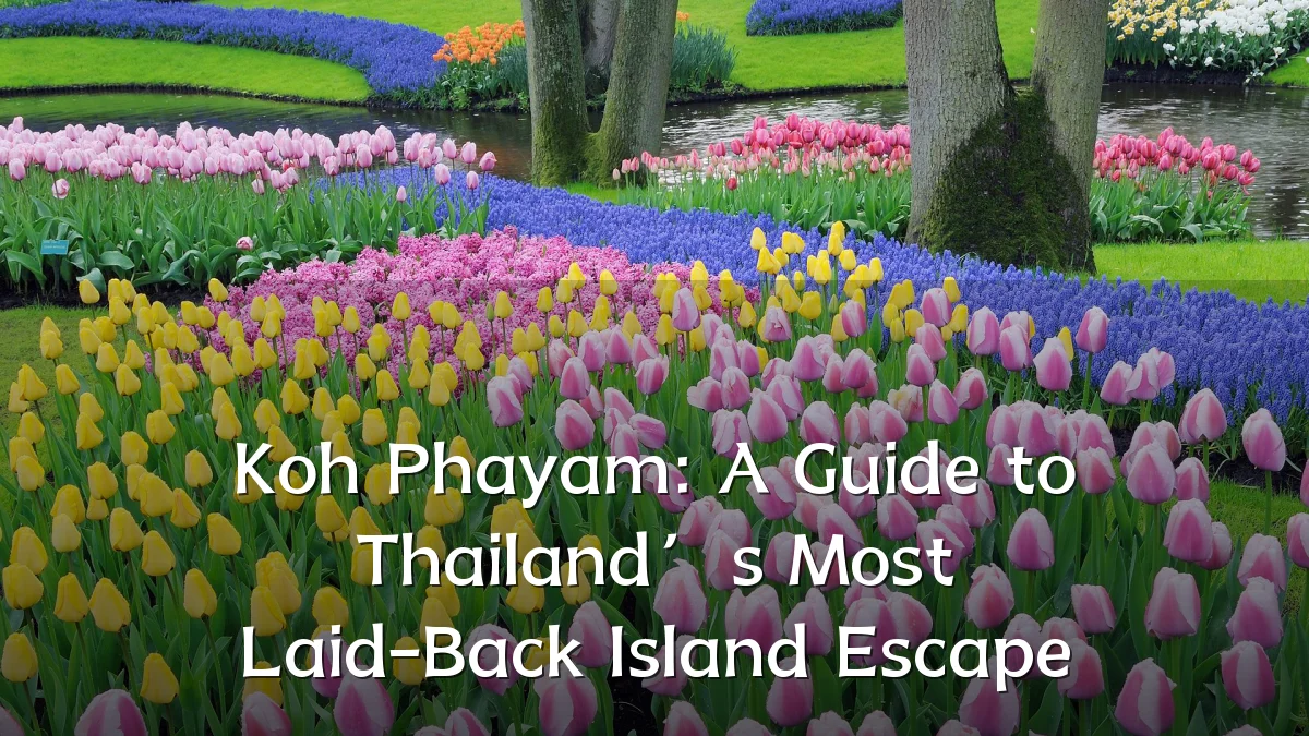 Koh Phayam: A Guide to Thailand’s Most Laid-Back Island Escape