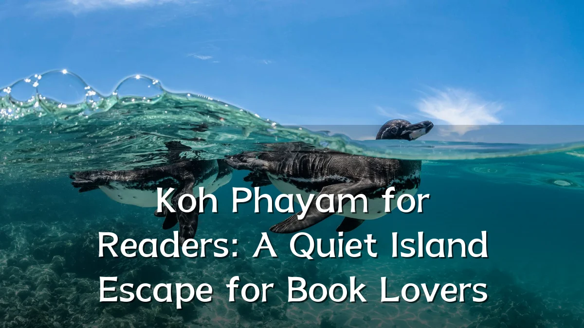 Koh Phayam for Readers: A Quiet Island Escape for Book Lovers