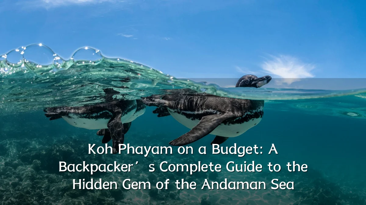 Koh Phayam on a Budget: A Backpacker’s Complete Guide to the Hidden Gem of the Andaman Sea