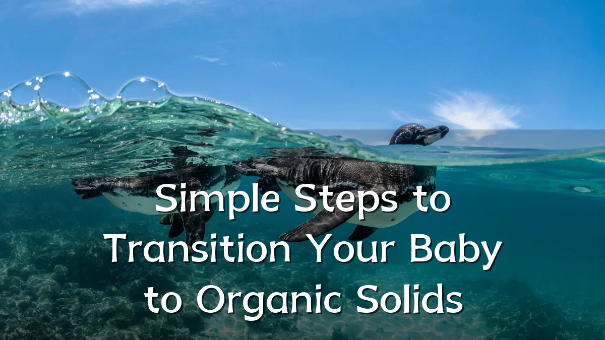 Simple Steps to Transition Your Baby to Organic Solids