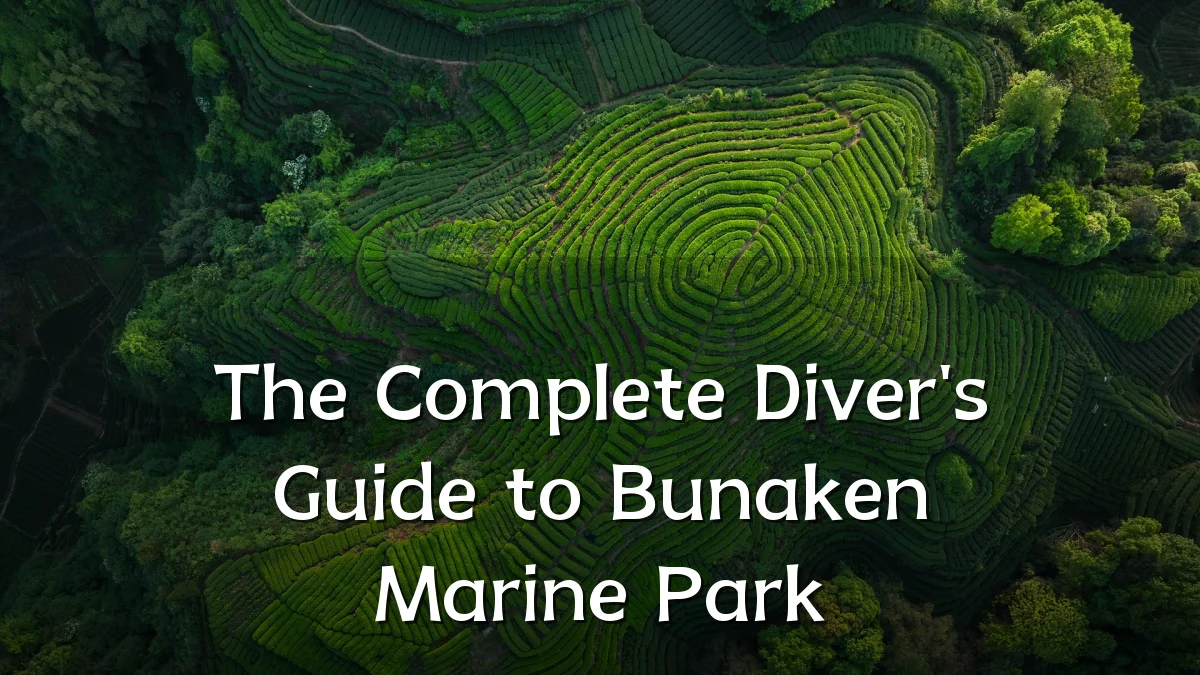 The Complete Diver's Guide to Bunaken Marine Park