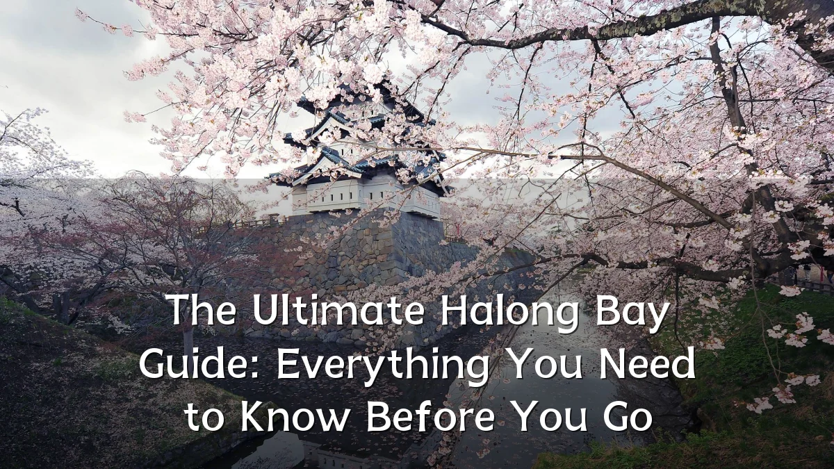 The Ultimate Halong Bay Guide: Everything You Need to Know Before You Go