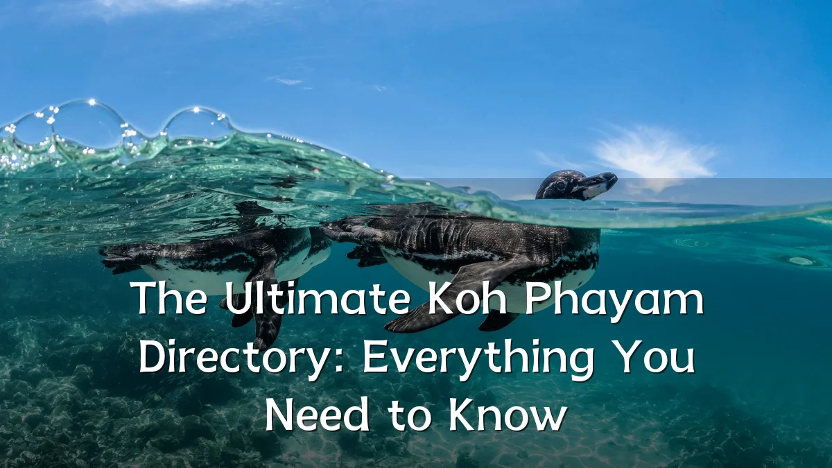 The Ultimate Koh Phayam Directory: Everything You Need to Know