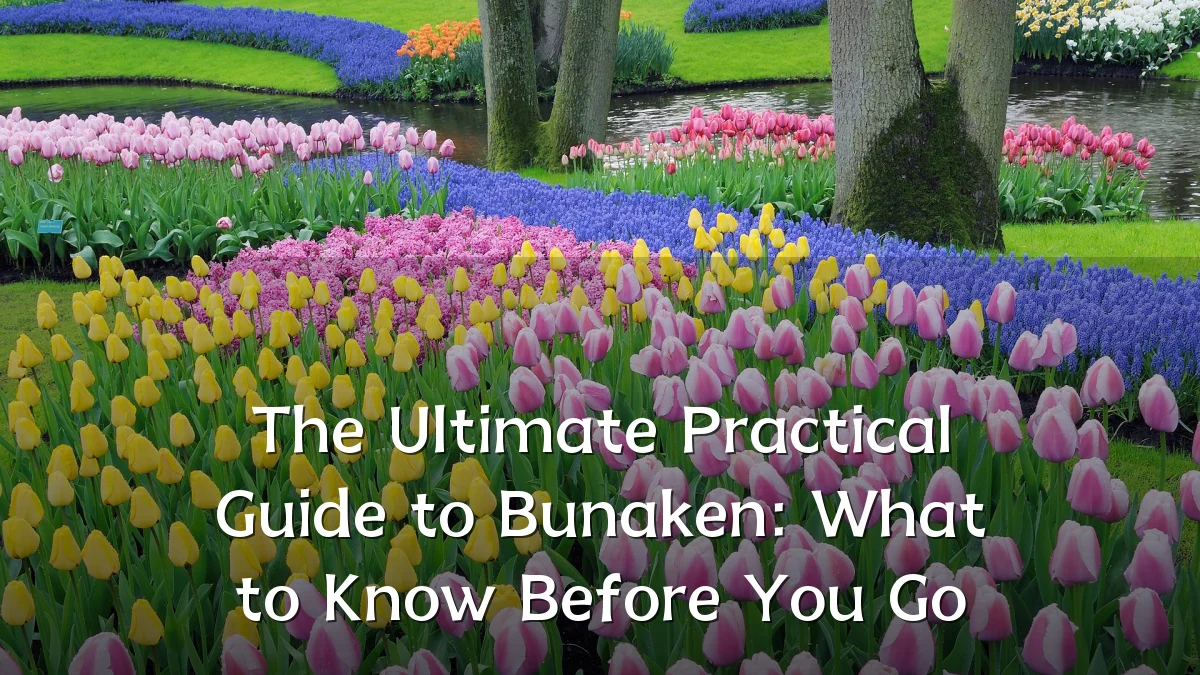 The Ultimate Practical Guide to Bunaken: What to Know Before You Go