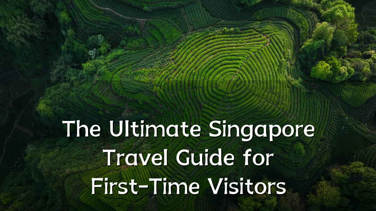 The Ultimate Singapore Travel Guide for First-Time Visitors