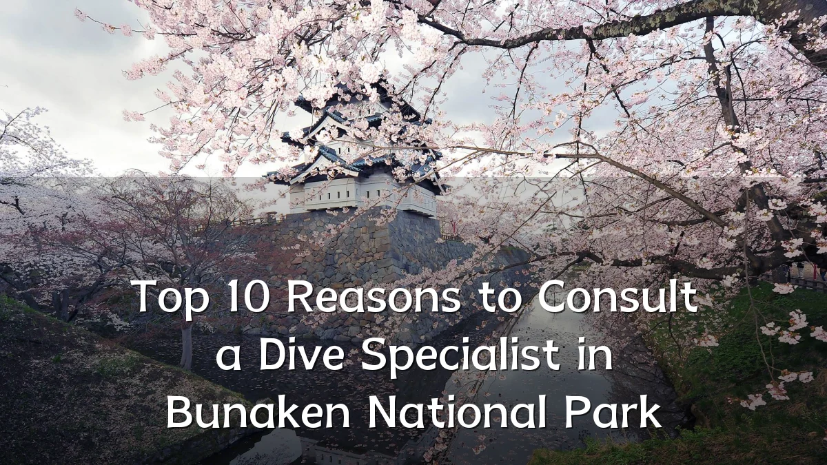 Top 10 Reasons to Consult a Dive Specialist in Bunaken National Park