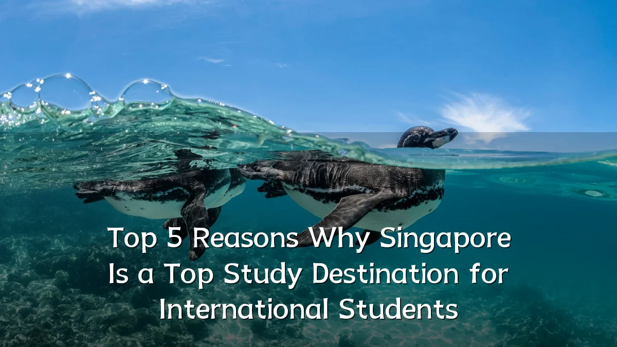Top 5 Reasons Why Singapore Is a Top Study Destination for International Students