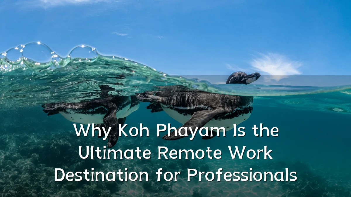 Why Koh Phayam Is the Ultimate Remote Work Destination for Professionals