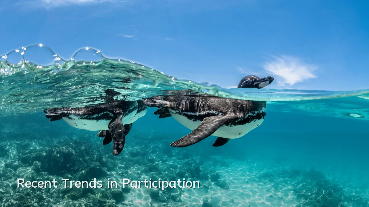 Recent Trends in Participation