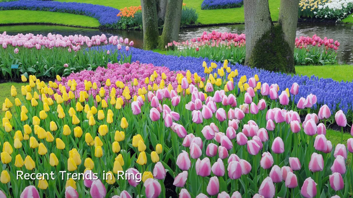 Recent Trends in Ring