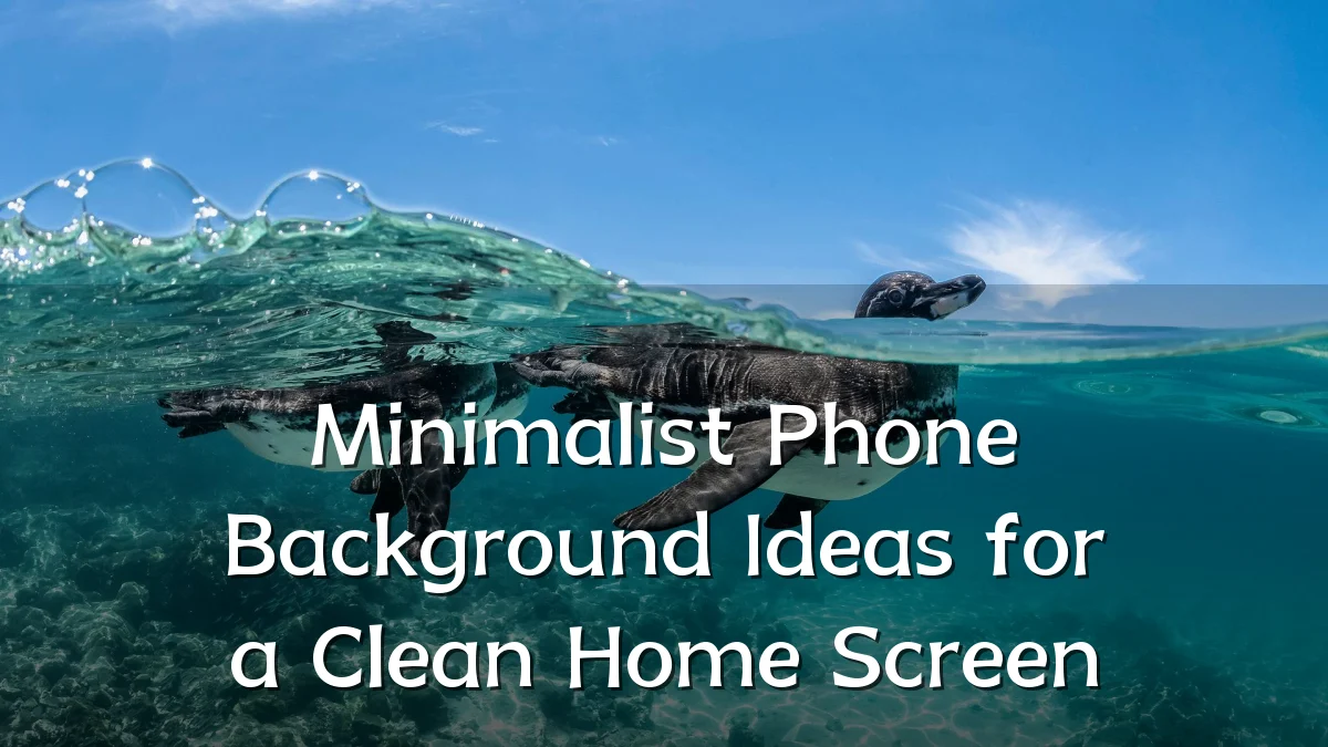 Minimalist Phone Background Ideas for a Clean Home Screen
