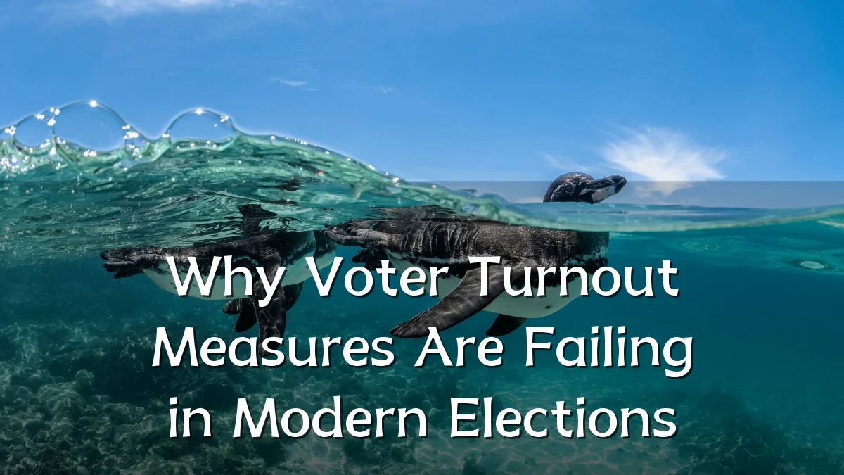 Why Voter Turnout Measures Are Failing in Modern Elections