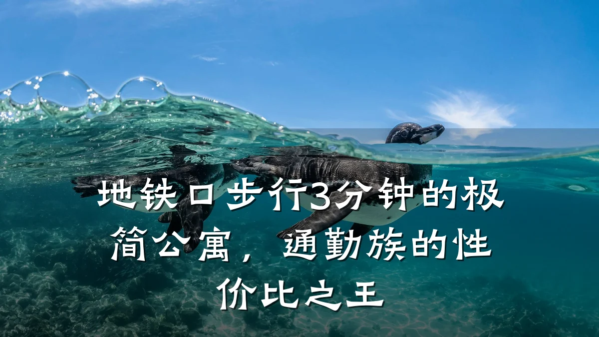 地铁口步行3分钟的极简公寓,通勤族的性价比之王