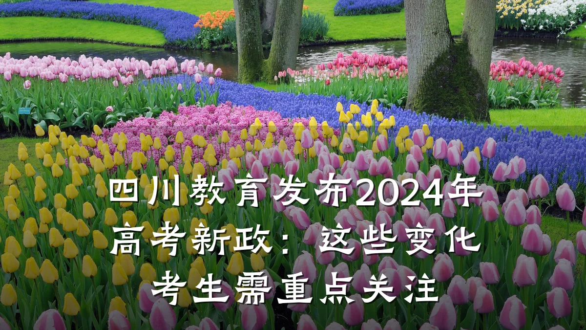 四川教育发布2024年高考新政：这些变化考生需重点关注