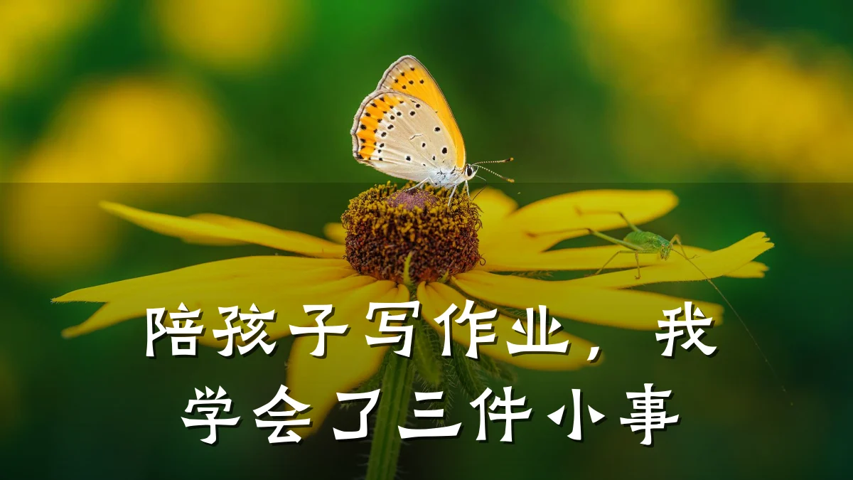 陪孩子写作业，我学会了三件小事