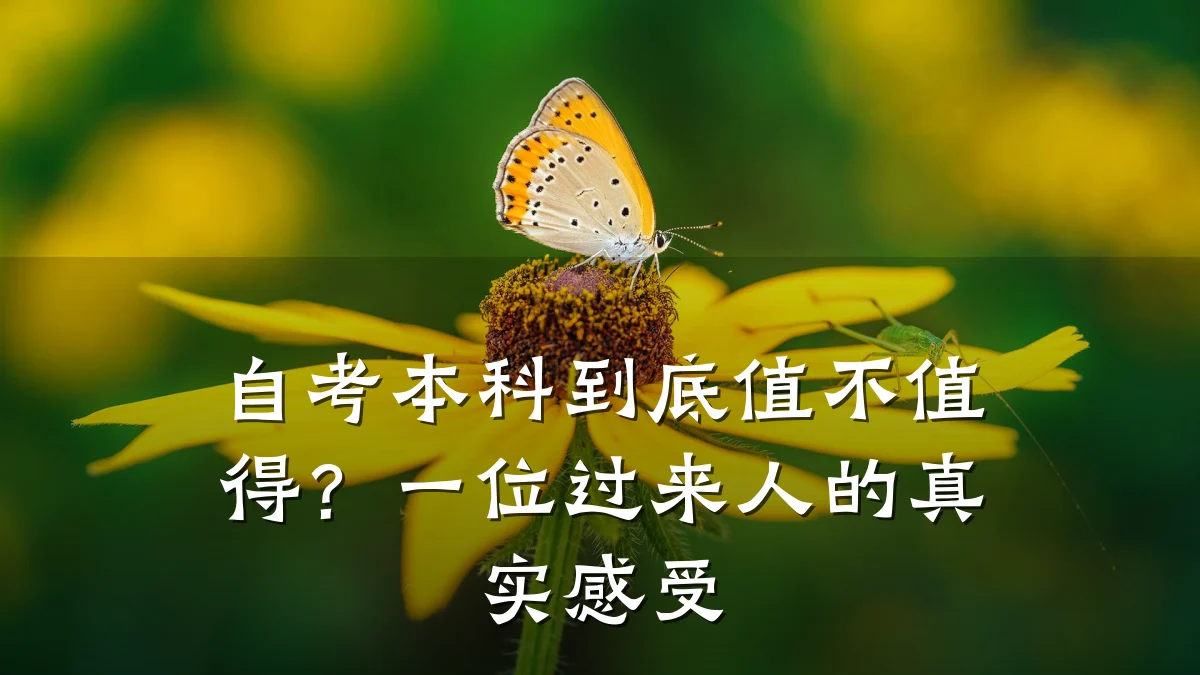 自考本科到底值不值得？一位过来人的真实感受