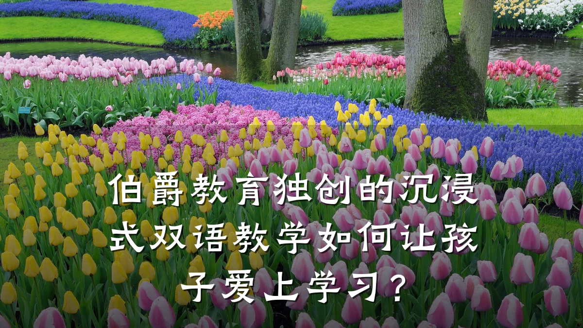 伯爵教育独创的沉浸式双语教学如何让孩子爱上学习？