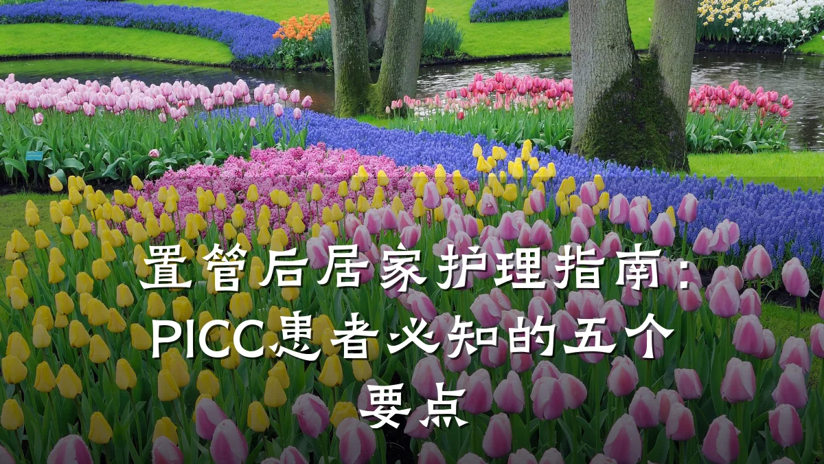 置管后居家护理指南：PICC患者必知的五个要点