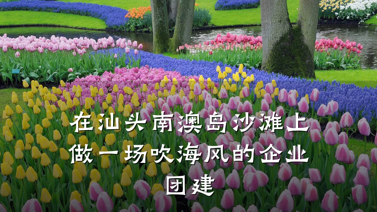 在汕头南澳岛沙滩上做一场吹海风的企业团建