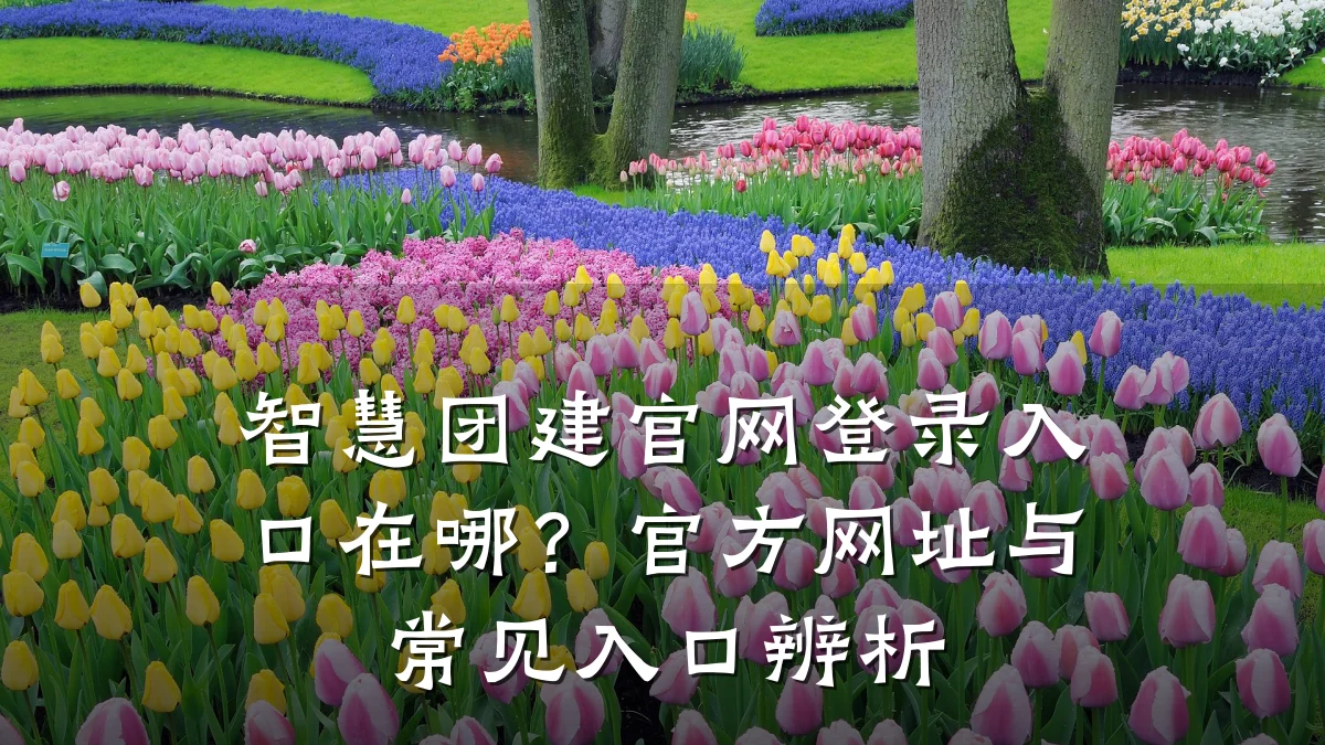 智慧团建官网登录入口在哪？官方网址与常见入口辨析