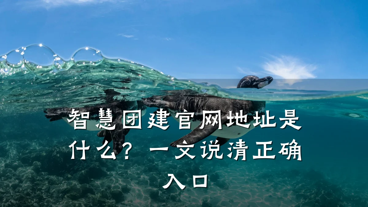 智慧团建官网地址是什么？一文说清正确入口